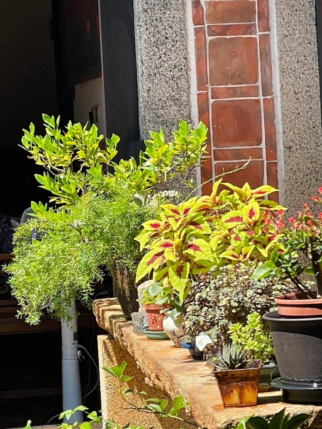 Grace Homestay Jincheng Exterior foto